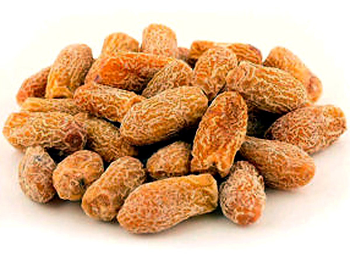 Yellow Dry Dates (Chhuhara) — Balouch Foods International